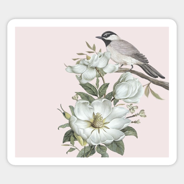 Spring birds on blush pink Sticker by RoseAesthetic